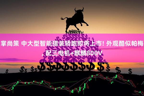 掌尚策 中大型智能猎装轿跑即将上市! 外观酷似帕梅, 配三电机+麒麟800V